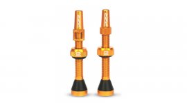 ΒΑΛΒΙΔΕΣ TUBELESS SET P2R TUBELESS VALVE FR-11C-AL - 46mm gold